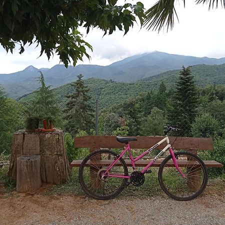 Apartamento En Pleno Montseny Mas Romeu Turisme Rural อาร์บูเซียส ภายนอก รูปภาพ