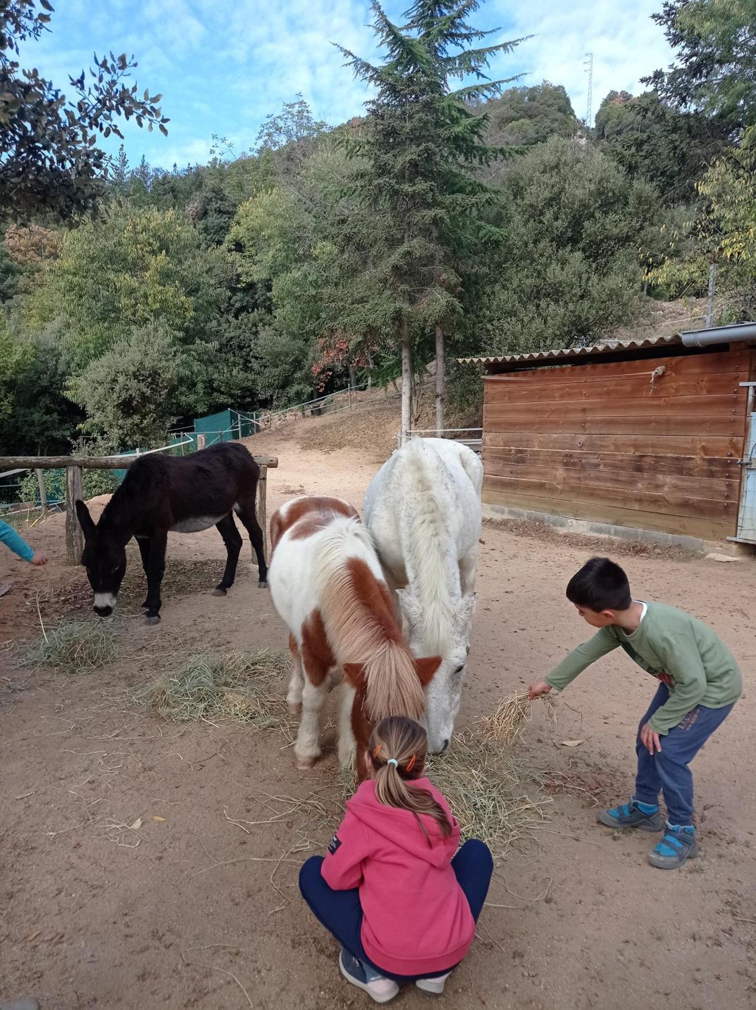 Apartamento En Pleno Montseny Mas Romeu Turisme Rural อาร์บูเซียส ภายนอก รูปภาพ