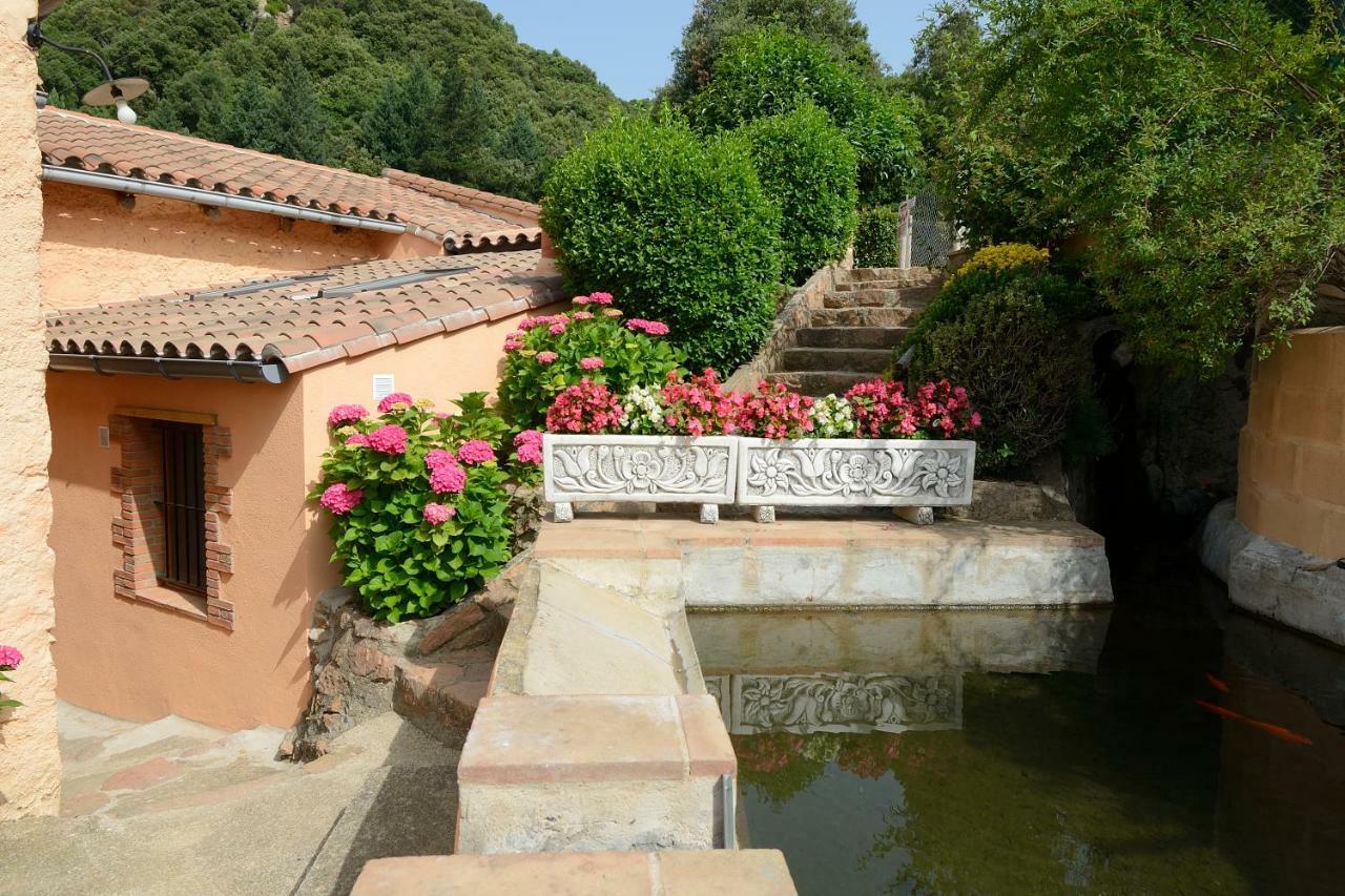 Apartamento En Pleno Montseny Mas Romeu Turisme Rural อาร์บูเซียส ภายนอก รูปภาพ