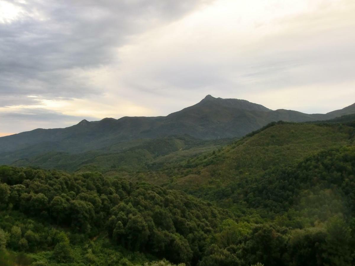 Apartamento En Pleno Montseny Mas Romeu Turisme Rural อาร์บูเซียส ภายนอก รูปภาพ